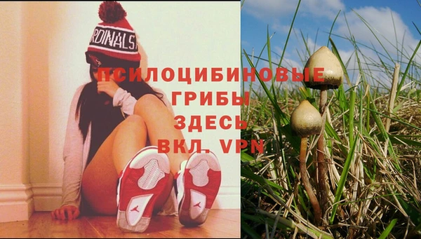 меф Нефтекумск