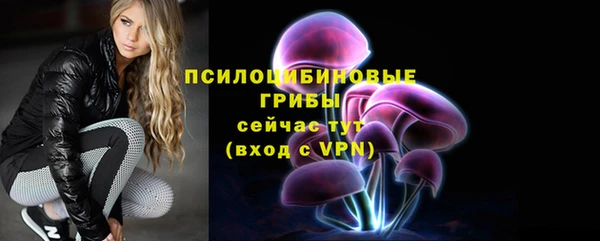 ешки Новодвинск