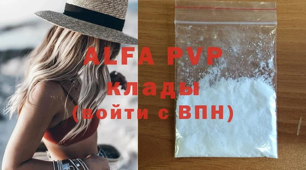 ешки Новодвинск