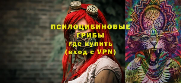 амф Новокубанск