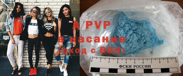 ешки Новодвинск
