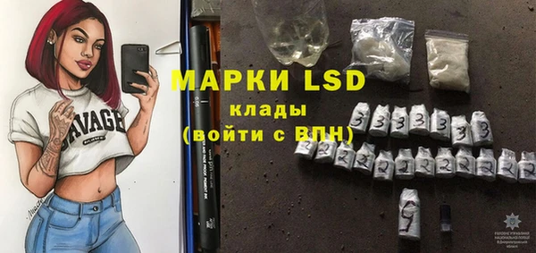 ешки Новодвинск