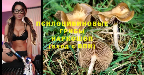 кокаин колумбия Новозыбков