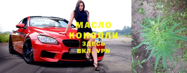ешки Новодвинск
