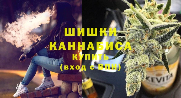 ешки Новодвинск