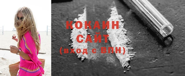 ешки Новодвинск