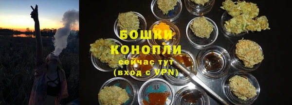 амф Новокубанск