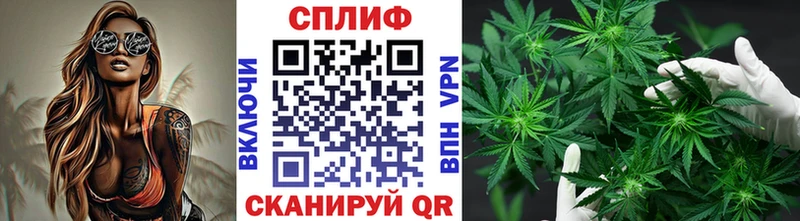 Бошки Шишки марихуана  где можно купить   даркнет какой сайт  Полярные Зори  ссылка на мегу ONION 
